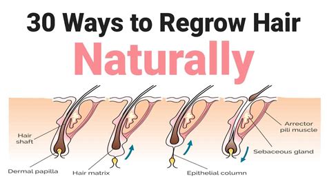 ways  regrow hair naturally