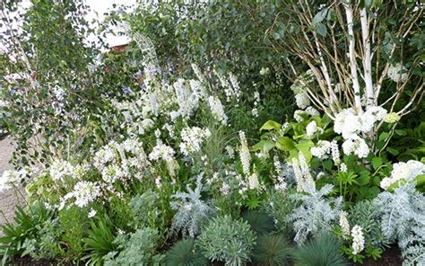 marvelous  awesome white garden ideas  white flower collection   garden https