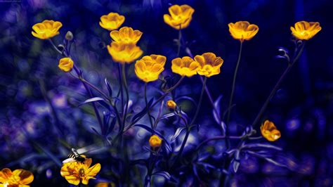 4k Yellow Flowers Wallpapers High Quality Download Free