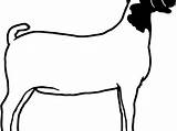 Goat Boer Drawing Clipart Paintingvalley Drawn Explore Drawings Webstockreview Collection sketch template