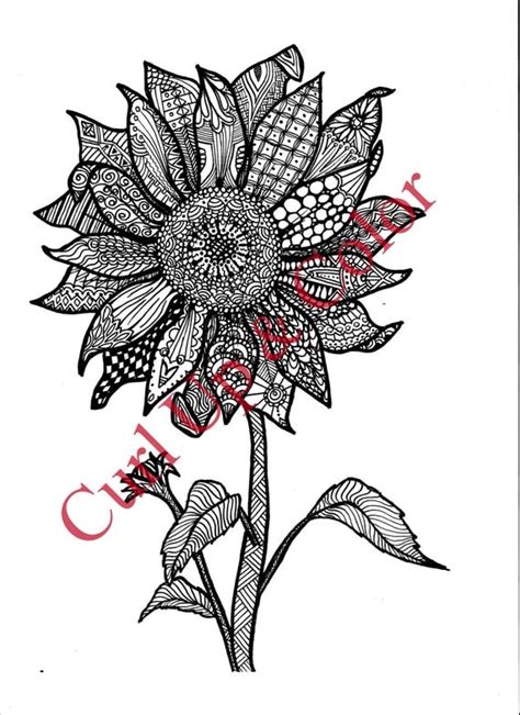 coloring sheet sunflower coloring pages  adults  details