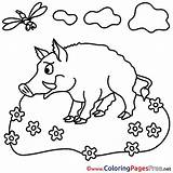 Boar Coloring Colouring Printable Kids Pages Sheets Farm Sheet Title Coloringpagesfree sketch template