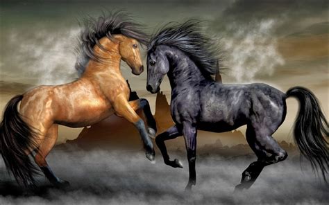 bruin paard en zwart paard hd wallpapers