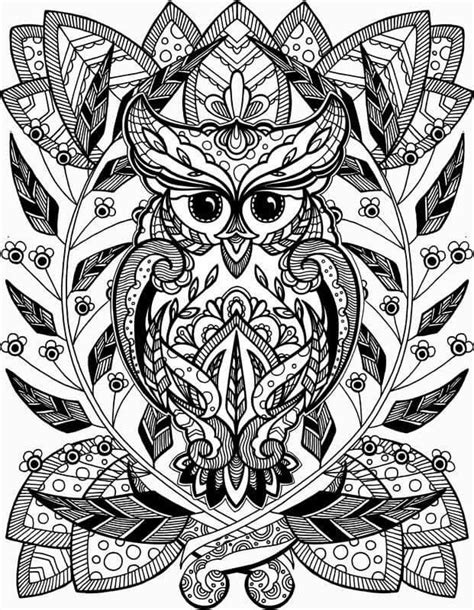 pin  adry ana  owl owl coloring pages animal coloring pages