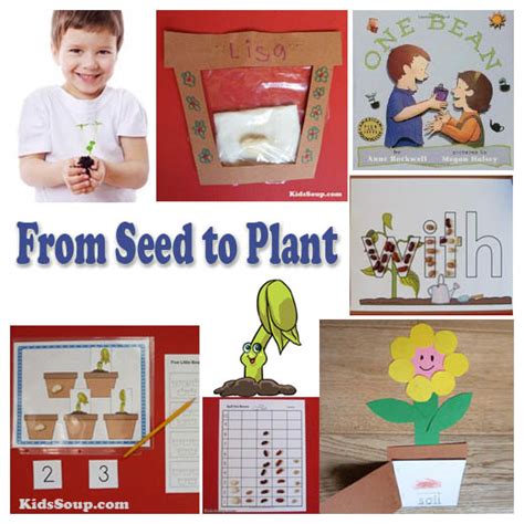 seed  plant books  rhymes kidssoup