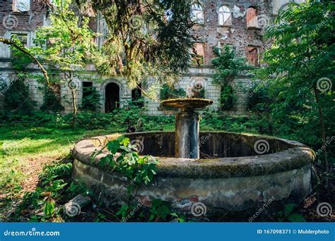 overgrown  broken fountain  ruins  abandoned mansion