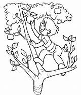 Picking Coloring Apple Pages Tree Clipart Child Colouring Cliparts Printable Climbing Clip Kids Color Library Getcolorings Choose Board sketch template