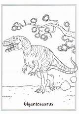 Coloring Coloriage Gigantosaurus Dinosaur Da Pages Colorare Dinosaurs Dinosauri Dino Tiny Activities Book Dinosaures Kawaii Kitty Enfant Hello Dragon Dinosauro sketch template