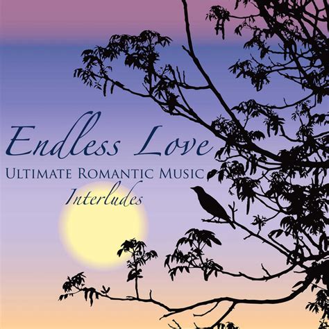 endless love ultimate romantic music interludes solo
