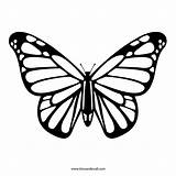 Butterfly Stencil Template Printable Outline Monarch Drawing Tattoo Line Silhouette Coloring Choose Board sketch template