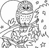 Coloring Pages Size Getcolorings sketch template