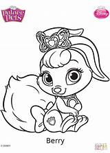 Coloring Palace Pets Pages Berry Printable sketch template