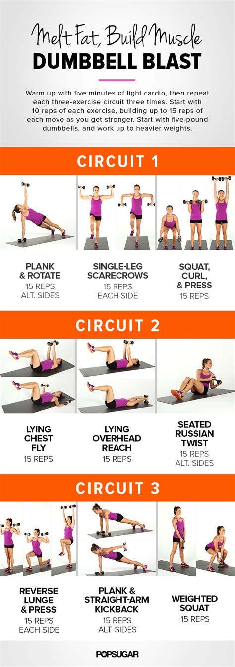 images  printable dumbbell workouts  men women full body dumbbell workout circuit