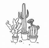 Cactus Transparent Background Tumblr Sleep Ode sketch template