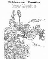 Mexico State Flower Atozkidsstuff Yucca Coloring Kids Roadrunner Bird sketch template