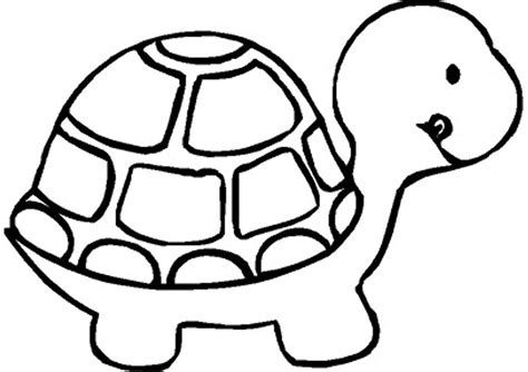turtle tortuga  colorear dibujo de tortuga animalitos