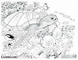 Underwater Coloring Pages Plants Adults Color Sea Under Getcolorings Print Getdrawings sketch template