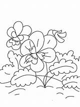Coloring Pages Violet sketch template