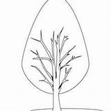 Tree Cypress Coloring Template sketch template