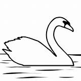 Trumpeter Swans Coloringkids sketch template