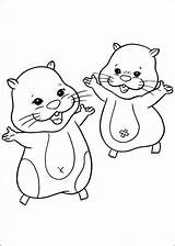 Zhu Hamster Ausmalbilder Jilly Chunk Ausmalen Coloriez Colorir Coloriages Kids Dieren sketch template