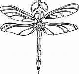 Dragonfly Coloring Pages Printable Kids Dragonflies Libelula Dibujo Para Colorear Supercoloring Super sketch template