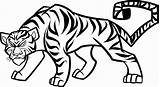 Tiger Drawing Coloring Kids Line Pages Cool Printable Animals Drawings Cartoon Easy Draw Sketch Clipart Colouring Transparent Lines Animal Jungle sketch template