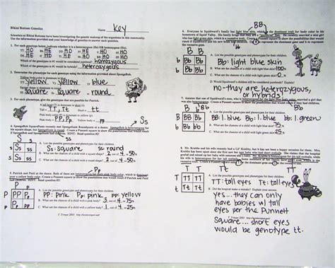 bikini bottom dihybrid practice answers porn pictures