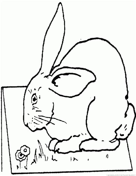 rabbit coloring pages part