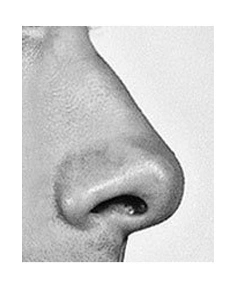 perfect male nose male face man anatomy stage makeup