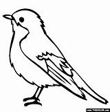 Bird Coloring Pages Birds Color Printable Vogel Outline Robin Paper Garden Drawing Kids Clipart Thecolor Drawings sketch template