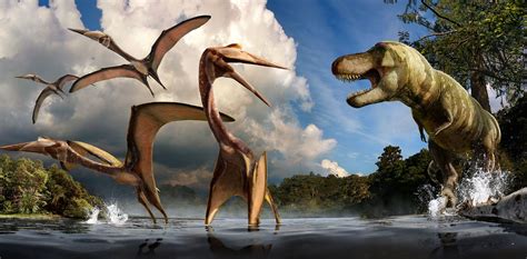 cretaceous dinosaurs fossils  paleontology  national park