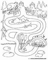 Coloring Maze Activity Beaver Pages Sheet Scenery Book Labyrinths Printable Mazes Educational Drawing Mountain Color Drawings Getdrawings Popular sketch template