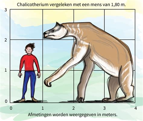 begrijpend lezen groep  weetteksten het allervreemdste dier van nederland junior einstein