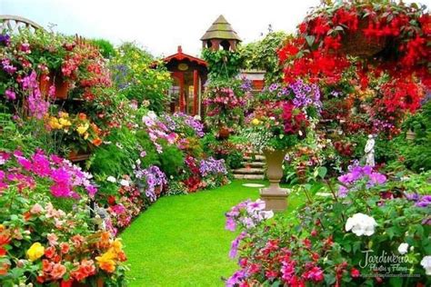 ¿sera De Verdad Blog De Jardinería Plantas Y Flores Landscaping