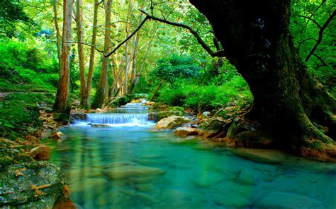 forest river wallpapers wallpaper cave