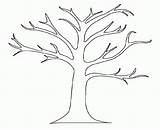 Tree sketch template