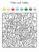 Zahlen Ausmalbild Ausmalen Ausdrucken Ganze Farben Frühlingswiese Frühling Familie Schule Gemerkt Malvorlagen sketch template
