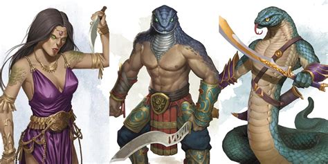race class combinations  dungeons dragons shofy