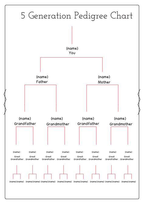 family tree pedigree chart worksheet    worksheetocom