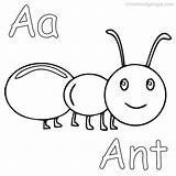 Ant Ants Coloringfolder Insects Getdrawings Coloringnori sketch template