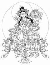 Tibetan Thangka Tara Green Drawings Outlines Google Coloring Line Search Painting Drawing Colouring Hindu Tibet Pages Buddha Buddhism Buddhist Tattoos sketch template
