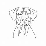 Ridgeback Rhodesian sketch template