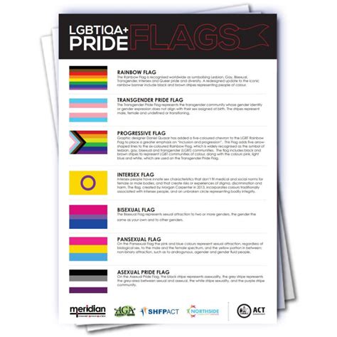 pride flags guide information sheet meridian