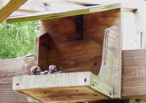 mourning dove house plans bobs furniture payment plans