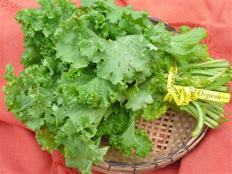 mustard greens recipes  nashs organic produce