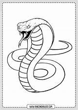 Cobra Serpientes Schlange Schlangen Serpiente Outline Drawings Dibujar Kobra Reptiles Ausmalen Tier Zeichnen Kunst Rincondibujos Schablone Zeichentechniken Aktivitäten Tierbilder Tätowierungen sketch template