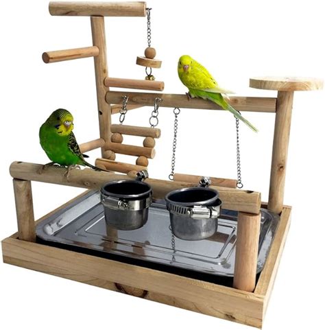amazoncom borangs parrots playstand bird playground wood perch training stand cockatiel