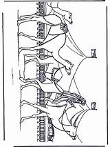 Kamele Kamelen Kleurplaten Caravan Camel Karavaan Caravane Carovana Caravana Kameel Karawan Chameaux Egypte Cammelli Dieren Designlooter Jetztmalen Nukleuren Dromedario Página sketch template