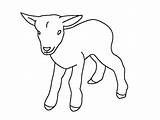 Goats sketch template